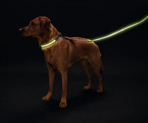 {{photo.Alt || photo.Description || 'Поводок Hunter LED Manoa Glow 30 / 120 см'}}