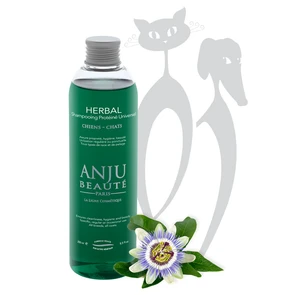 Шампунь-концетрат Anju Beaute Травяной: маракуйя и экстракт панамской коры (Herbal Shampooing), 1:5