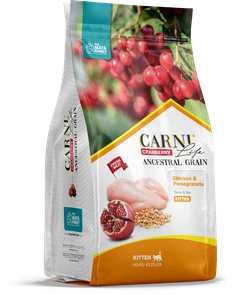 Сухой корм CARNI LIFE для котят курица с гранатом и клюквой Ancesral Grain Chicken / Pomegranate Kitten