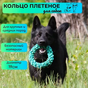 {{photo.Alt || photo.Description || 'Кольцо-грейфер из каната плетеное NUNBELL для собак средних и крупных пород диаметр 19 см цвета в ассортименте'}}