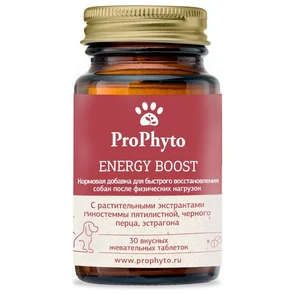 {{photo.Alt || photo.Description || 'ProPhyto Энерджи Буст функциональная кормовая добавка для собак'}}