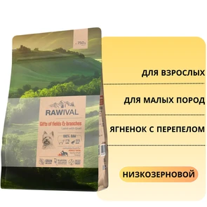 {{photo.Alt || photo.Description || 'Сухой корм RAWIVAL для взрослых собак карликовых и маленьких пород из ягненка с перепелом Gifts of Fields&amp;Branches Lamb with Quail ADULT DOG TOY &amp; SMALL BREED'}}
