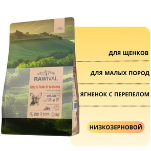 {{photo.Alt || photo.Description || 'Сухой корм RAWIVAL для щенков карликовых и маленьких пород из ягненка с перепелом Gifts of Fields&amp;Branches Lamb with Quail PUPPY TOY &amp; SMALL BREED'}}