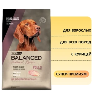 {{photo.Alt || photo.Description || 'Сухой корм Vitalcan для взрослых собак всех пород с курицей Balanced Dog Adult Natural Recipe Chicken'}}