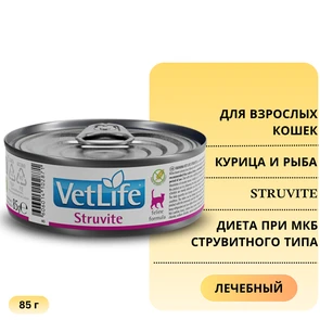 {{photo.Alt || photo.Description || 'Консервы FARMINA VETLIFE NATURAL DIET CAT STRUVITE для взрослых кошек с курицей и рыбой диета при МКБ струвитного типа'}}