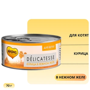 {{photo.Alt || photo.Description || 'Консервы Мнямс для котят Курица в нежном желе'}}