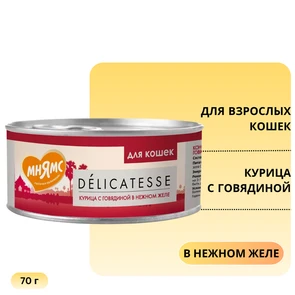 {{photo.Alt || photo.Description || 'Консервы Мнямс для кошек Курица с Говядиной в нежном желе'}}