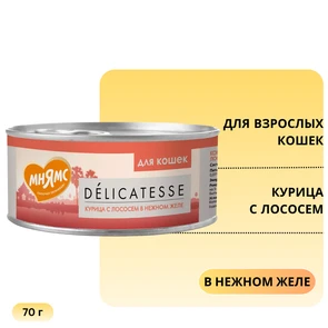 {{photo.Alt || photo.Description || 'Консервы Мнямс для кошек Курица с Лососем в нежном желе'}}