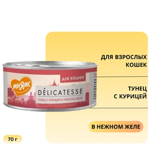 {{photo.Alt || photo.Description || 'Консервы Мнямс для кошек Тунец с курицей в нежном желе'}}