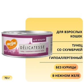 {{photo.Alt || photo.Description || 'Консервы Мнямс для кошек Тунец со скумбрией в нежном желе'}}