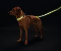 Поводок Hunter LED Manoa Glow 30 / 120 см 93109
