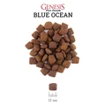 Беззерновой сухой корм Genesis Pure Canada для собак с лососем, сельдью и курицей (Adult Blue Ocean) 514900907