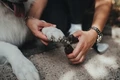Когтерез - кусачки Hunter Nail Clipper SPA большой 65589