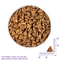 Беззерновой сухой корм WELLNESS CORE для собак мелких пород с индейкой и курицей Small Breed Original Turkey Recipe W10752