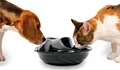 Керамическая автопоилка-фонтан для кошек и собак Pioneer Pet RainDrop 6022