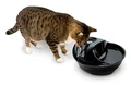Керамическая автопоилка-фонтан для кошек и собак Pioneer Pet RainDrop 6022