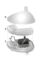 Комплект угольных фильтров для автопоилок Pioneer Pet RainDrop - набор 3 шт. 3002