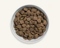 Беззерновой сухой корм Canagan для щенков и собак всех пород с ягненком Grain Free Grass Fed All Breed All Life Stages 100.050