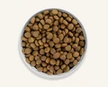 Беззерновой сухой корм Canagan для щенков и собак всех пород с уткой и фазаном Grain Free Highland Feast All Breed All Life Stages Хайлендский праздник 100.060
