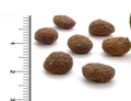 Беззерновой сухой корм Canagan Dental для котят и кошек с индейкой Grain Free Free Run Turkey Dental For Cats 100.233