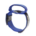 Ошейник для собак JULIUS-K9 Color & Gray длина 38 - 53 см / 4 см, с закрытой ручкой 661656