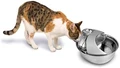 Автопоилка-фонтан из нержавеющей стали для кошек и собак Pioneer Pet RainDrop 6023