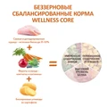 Беззерновой сухой корм WELLNESS CORE для щенков крупных пород с индейкой и курицей Original Puppy Large Breed Turkey with Chicken Recipe W10809