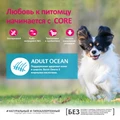 Беззерновой сухой корм WELLNESS CORE для собак мелких пород с лососем и тунцом Small Breed Ocean Salmon with Tuna Recipe W10739
