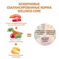 Беззерновой сухой корм WELLNESS CORE для взрослых собак средних и крупных пород с лососем и тунцом Dog Ocean Salmon with Tuna Recipe W10750