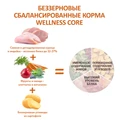 Беззерновой сухой корм WELLNESS CORE для пожилых собак с индейкой и курицей (Senior Turkey/Chicken) W10748