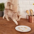 Витаминизированное лакомство для кошек GimCat Tabs с рыбой и биотином 419077