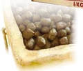 Беззерновой сухой корм Natural Greatness для щенков всех пород с курицей Chicken Recipe Starter Puppy гранула