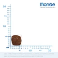 Беззерновой сухой корм MONGE Bwild для щенков всех пород с уткой и картофелем (Grain Free Puppy/Junior All Breed Duck/Potatoes) размер гранулы