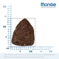 Низкозерновой сухой корм MONGE Bwild для взрослых собак всех пород с олениной Adult Dog All Breeds Deer Low Grain размер гранулы