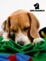 Развивающая игрушка для собак Mr.Kranch Нюхательный коврик Бейсбольный матч 50 х 70 см MKR512212