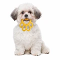 Функциональная игрушка для собак BAMA PET ORMA цвета в ассортименте 19135