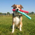 Игрушка для собак палочка BAMA PET TUTTO MIO резина, цвета в ассортименте 19190