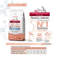 Сухой корм MONGE Monoprotein для взрослых собак мелких пород с лососем и рисом Mini Adult Dog Salmon 70011563