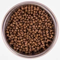 Сухой корм MONGE Speciality для взрослых собак миниатюрных пород с ягненком и рисом Extra Small Adult Dog Lamb 70011471