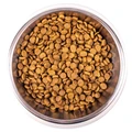 Сухой корм MONGE для котят с курицей Kitten 70004862
