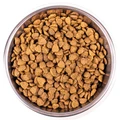 Сухой корм MONGE для взрослых кошек живущих в помещении с курицей Cat Indoor 70005104