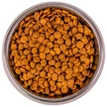 Сухой корм MONGE для взрослых кошек для профилактики МКБ с курицей Cat Urinary 70011907