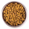 Сухой корм MONGE для взрослых кошек с курицей Adult Cat 70004985