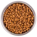 Сухой корм MONGE для взрослых кошек с кроликом Adult Cat Monoprotein Rabbit 70011945