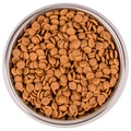 Низкозерновой сухой корм Monge BWild для котят с мясом гуся (BWild Low Grain Kitten Goose) 70012041