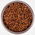 Низкозерновой сухой корм MONGE BWild для взрослых кошек с мясом зайца Low Grain Adult Cat Hare 70012003