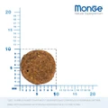 Беззерновой сухой корм Monge BWild для взрослых кошек с лососем и горохом BWild Grain Free Adult Cat Salmon & peas 70012072