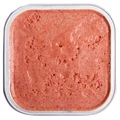 Паштет MONGE Monoprotein Fruits для собак с индейкой и цитрусовыми Tacchinoconagrumi Turkey with Citrus Fruits 70014397