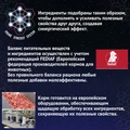 Консервы PRIME EVER SUPERIOR для взрослых собак всех пород с индейкой и рисом 157107