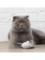 Игрушка Petstages для кошек "Мышка со звуком" с кошачьей мятой 4 см 70377M